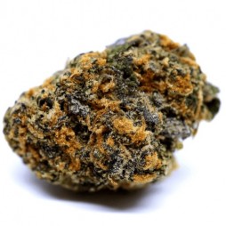 Fleur de CBD : California Kush I