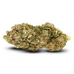 Fleur de CBD : Super Silver Haze