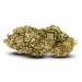 Fleur de CBD : Super Silver Haze