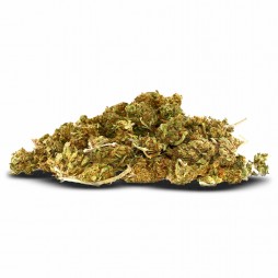 cbd pas cher : Pack 25g Shrek (Limited Edition)