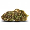 Fleur de CBD : Northen Light