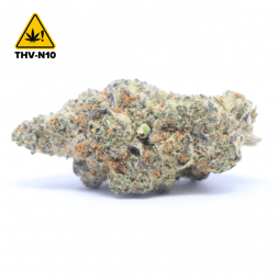 Candy Kush | Fleur de THV-N10 | CBDpaschere