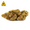 Moby Dick THV-N10 - CBDpaschere
