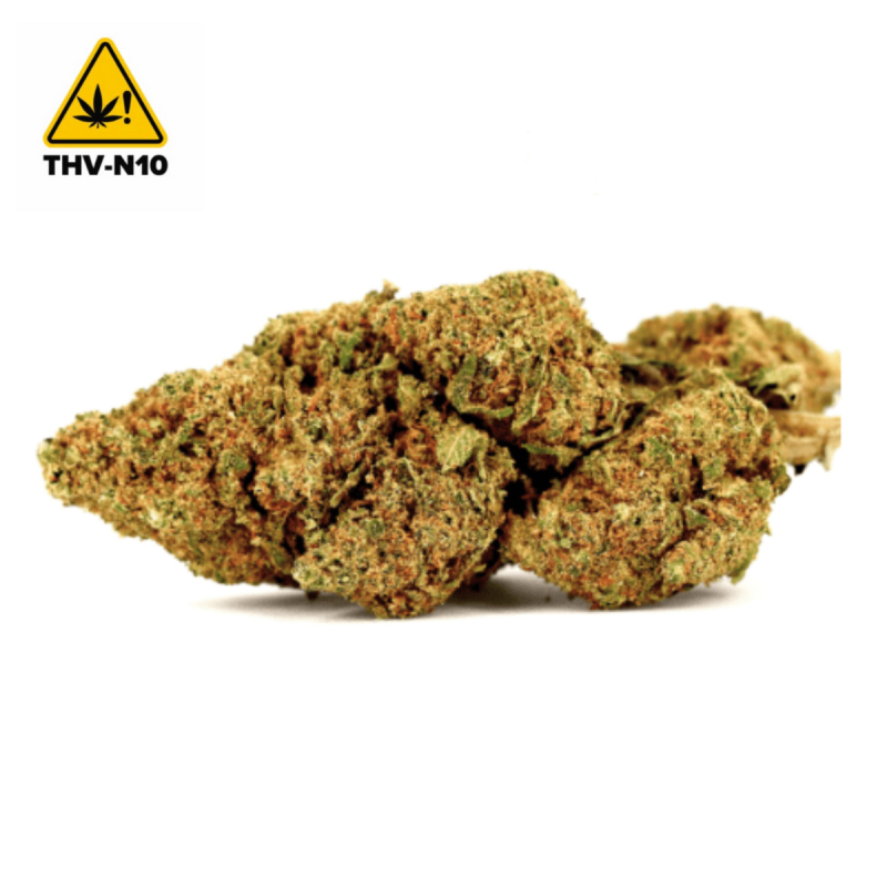 Moby Dick THV-N10 - CBDpaschere