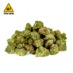 Mini Bud Cookie THV-N10 - CBDpaschere