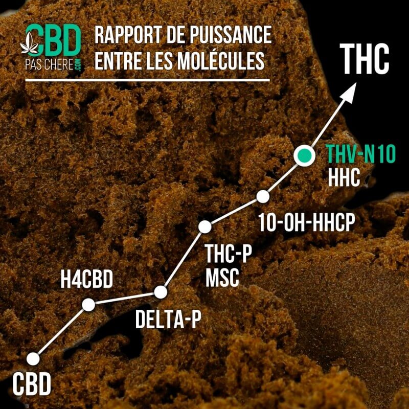 Pack découverte résine THV-N10