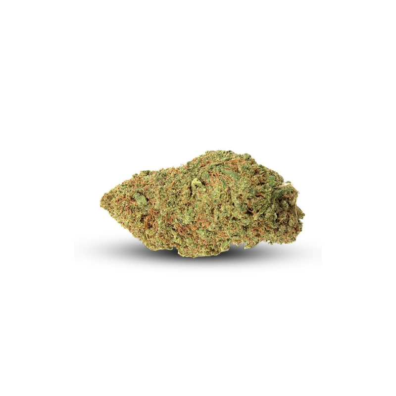 Orange Bud THV+