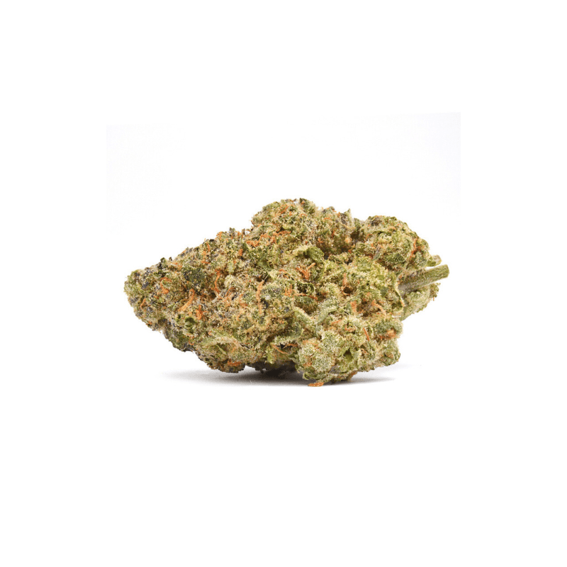 Royal Cheese CBD Boost+