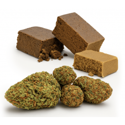 Pack 420 Mix | THV+ et THV-N10 | CBDpaschere