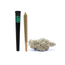 Fleur de CBD : Pré-roll Candy Kush THV-N10