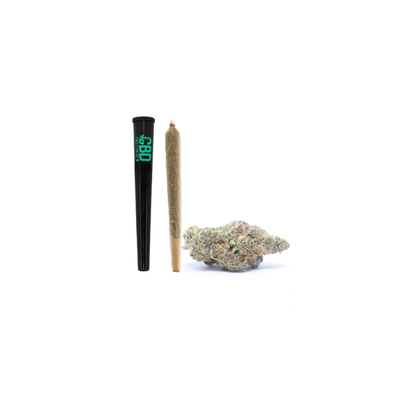 Fleur de CBD : Pré-roll Candy Kush THV-N10
