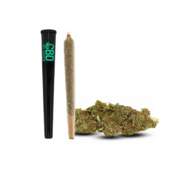 Fleur de CBD : Pré-roll Gelato CBD