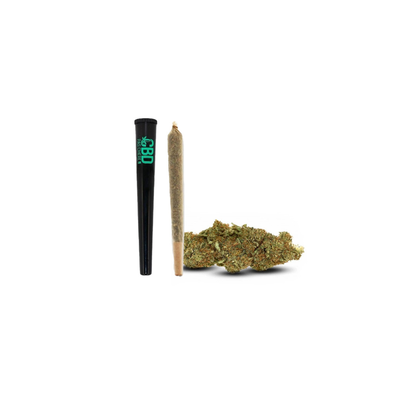 Fleur de CBD : Pré-roll Gelato CBD
