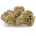 Fleur de CBD : Dynamite CBD
