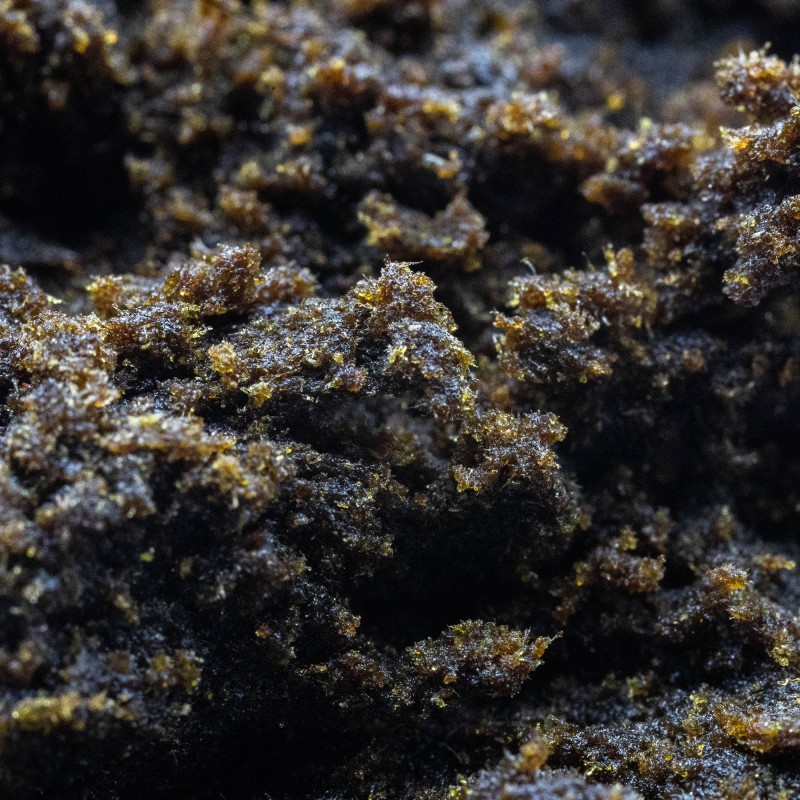 Hash Résine CBD : Black Hash