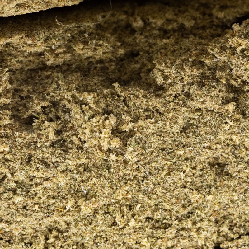 Hash Résine CBD : Buddha Kush