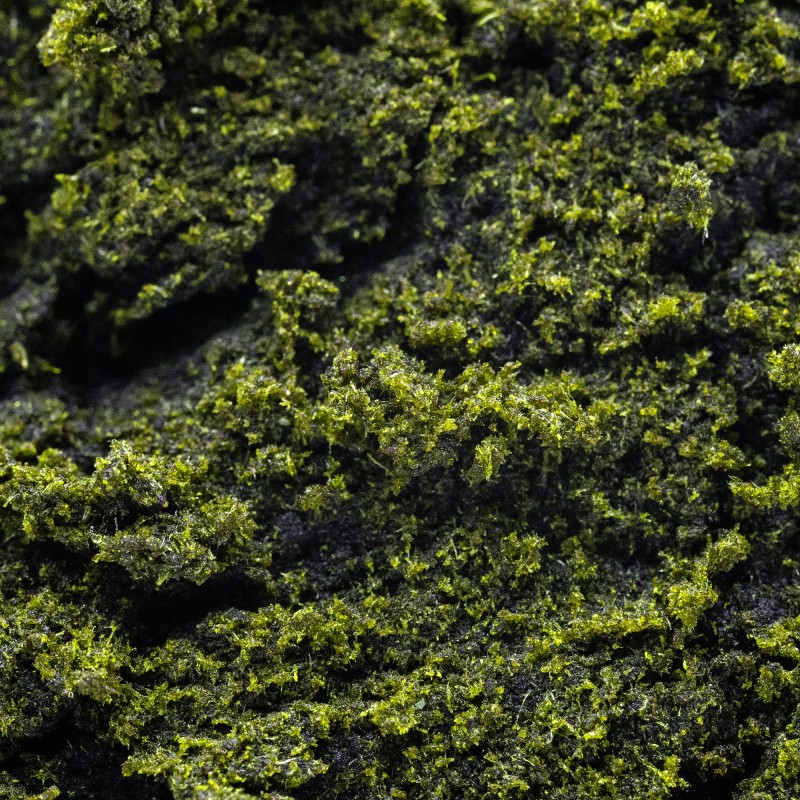 Hash Résine CBD : Elevator