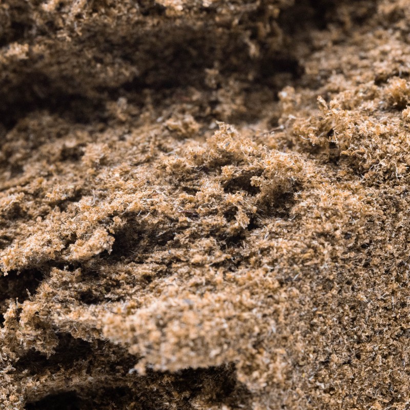 Hash Résine CBD : Marocco Haze