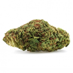 Zkittlez CBD+ – 35 % CBD | Fleur Indoor | CBD Pas Chère