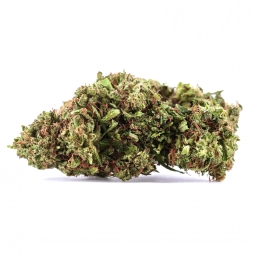 Fleur de CBD : Fruit Cake GH
