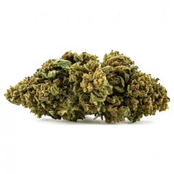 Fleur de CBD : Strawberry Banana GH
