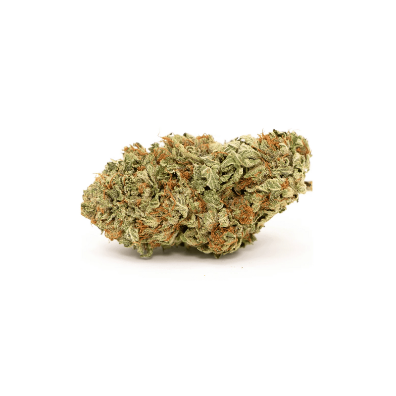 Fleur de CBD : Sunset Sherbet CBD
