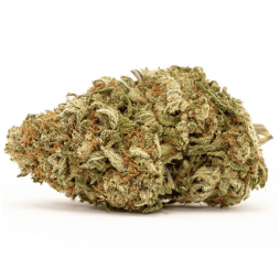Fleur de CBD : Super Skunk CBD