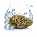 Fleur de CBD : Vodk'Haze CBD