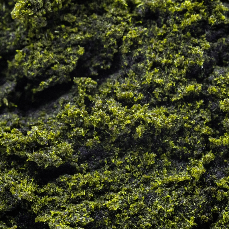 Green Hassan CBD+ 71% | CBD PAS CHÈRE