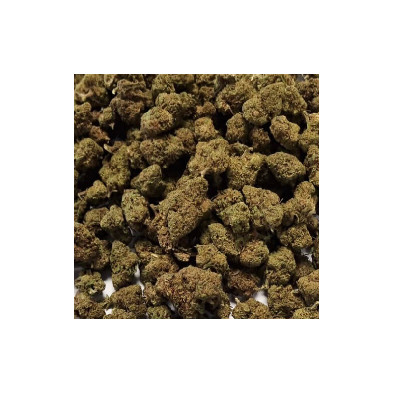 Fleur de CBD : 25g Small Bud - Plutonium US
