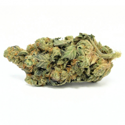 Fleur de CBD : Sour Tangie