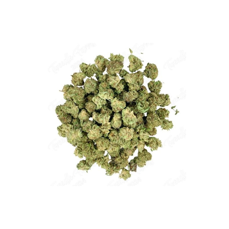 Fleur de CBD : Small Bud - Sweet Cheese