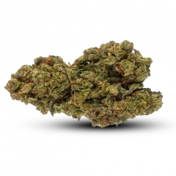 Fleur de CBD : Critical Mass