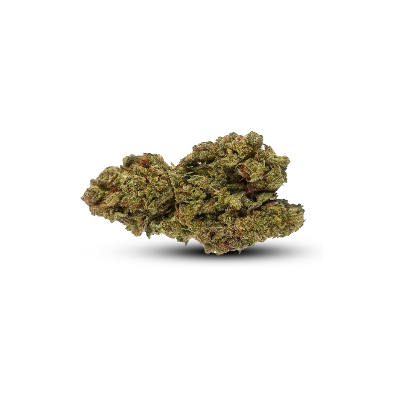 Fleur de CBD : Critical Mass