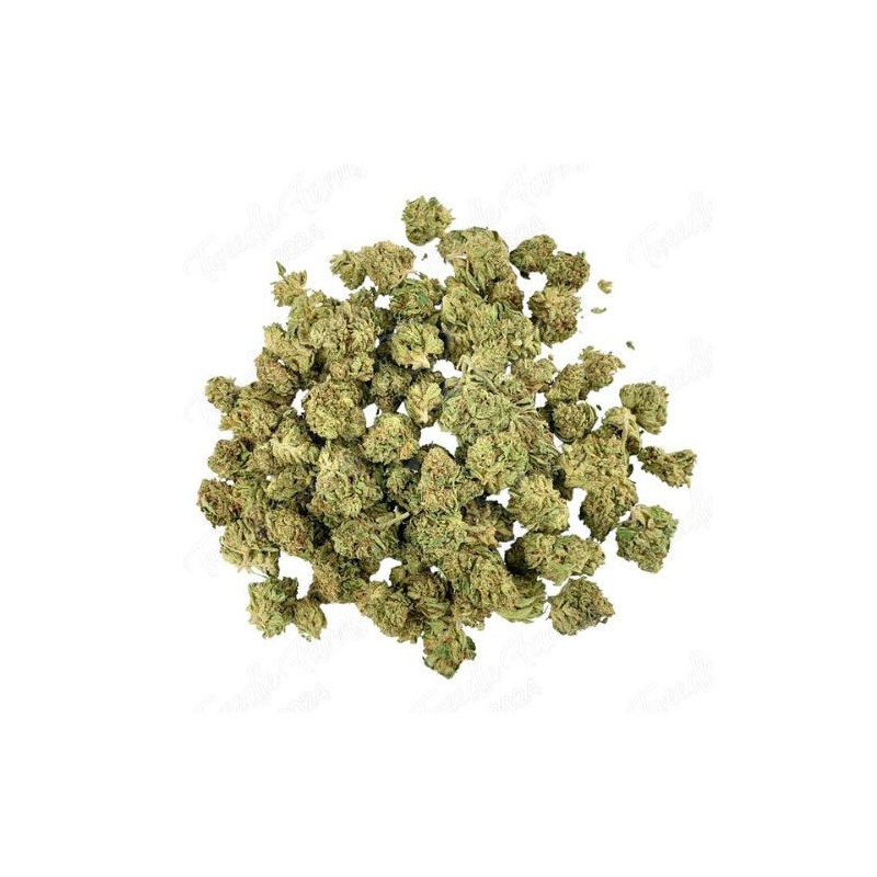 Fleur de CBD : Small Bud – Cheetah Piss