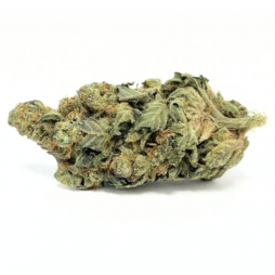 Sour Tangie 12% CBD pas chère | CBD PAS CHERE
