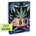 Calendrier de l’Avent CBD | CBD Pas Chère