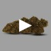 Jamaikann | Fleur de CBD GreenHouse | CBDpaschere