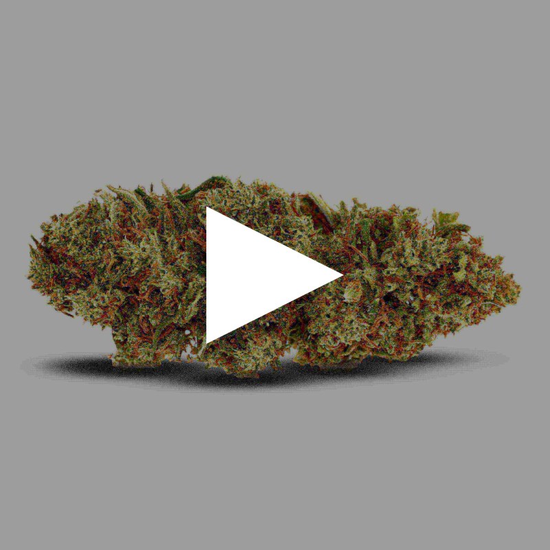Royal Cookies  | Fleur de CBD indoor |CBDpaschere