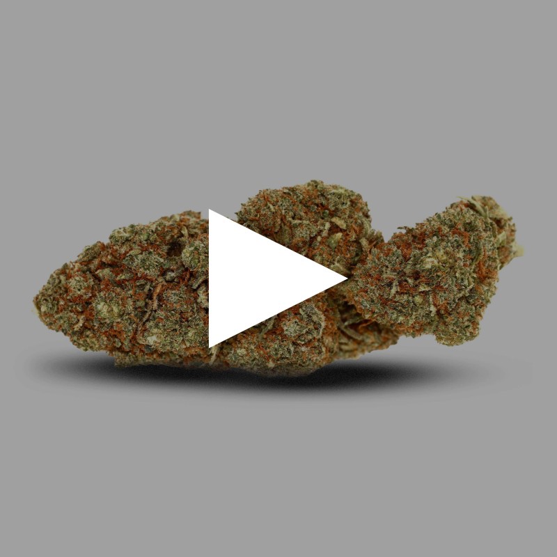 Fleur OG Kush CBD 19% au meilleur prix