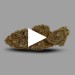 Fleur OG Kush CBD 19% au meilleur prix