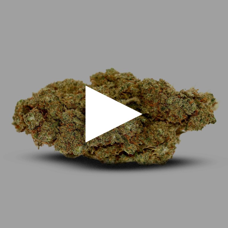 Strawberry Banana CBD | Fleur De CBD Indoor | CBDpaschere