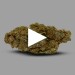 Strawberry Banana CBD | Fleur De CBD Indoor | CBDpaschere