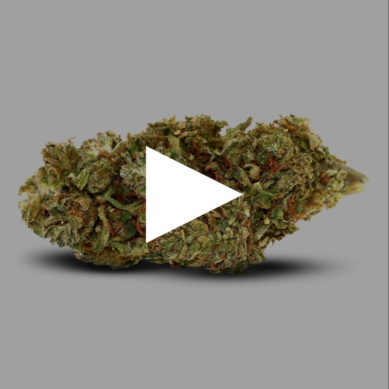 Valentine Cake l Fleur de CBD Outdoor | CBDPasChere