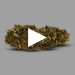Super Lemon 2.0 | Fleur de CBD indoor | CBDpaschere